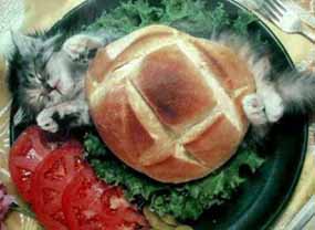 akittyburger.jpg