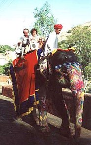 amber-elefant-ride-m.jpg