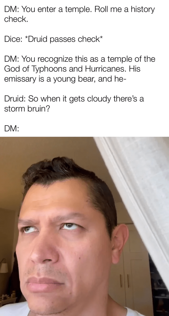 and-hurricanes-his-emissary-is-young-bear-and-he-druid-so-gets-cloudy-theres-storm-bruin-dm.png