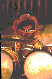 animal.jpg