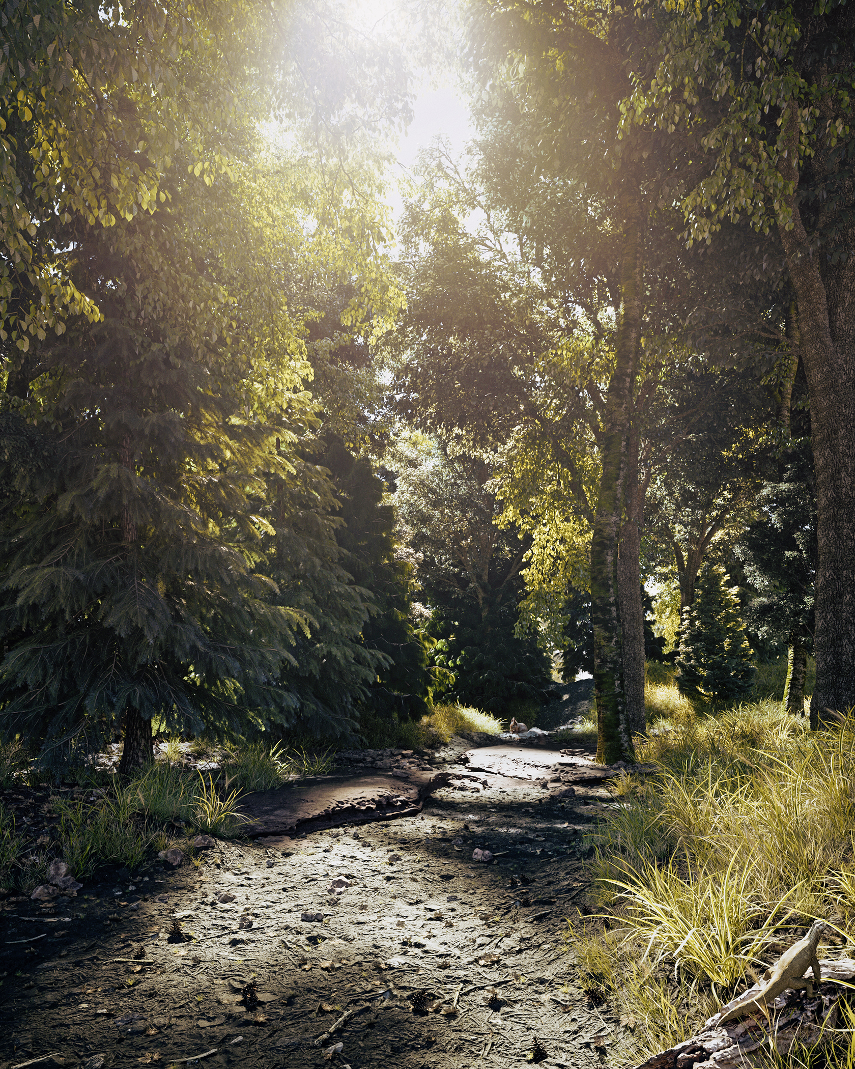 annkos-the-mystery-path-1-f9ca8c27-wesh.jpeg