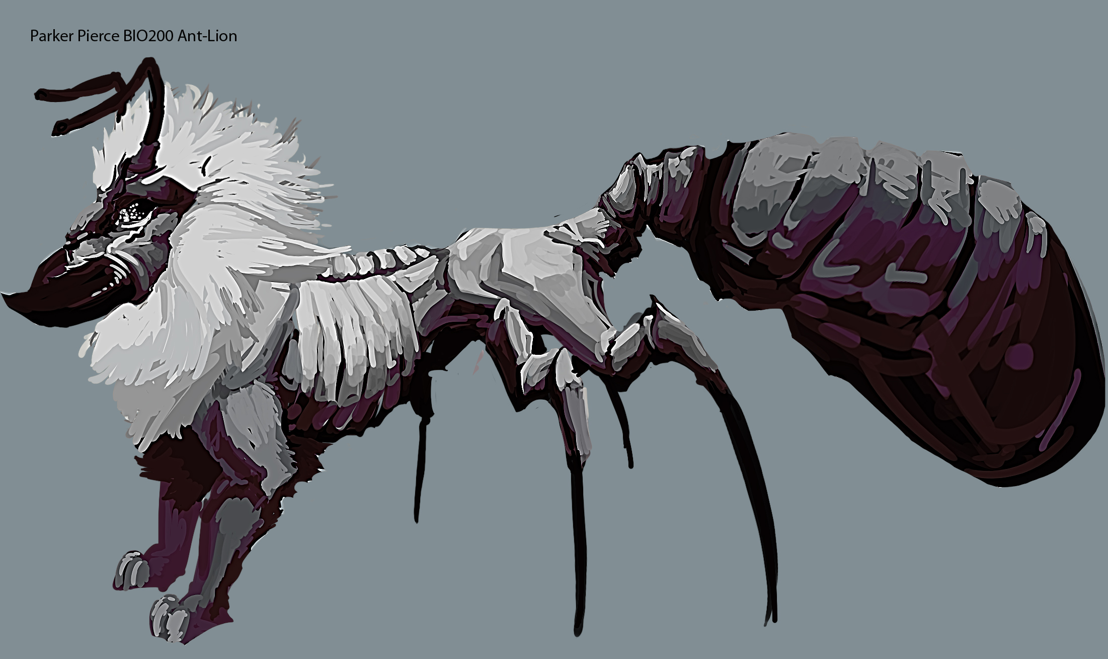 ant_lion_by_secondkin-d30ufj7.jpg
