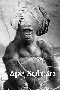 ape sultan.jpg