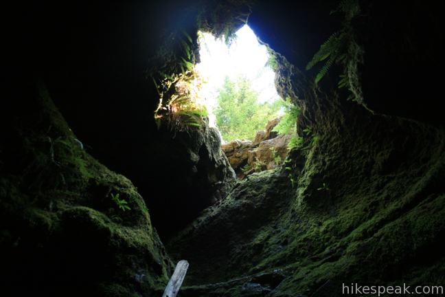 Ape_Cave_Lava_Tube_IMG_2193.jpg