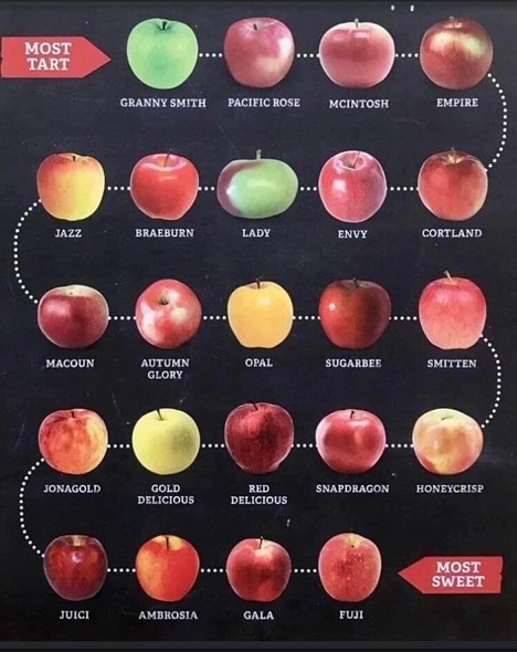 apple flavor chart.jpg