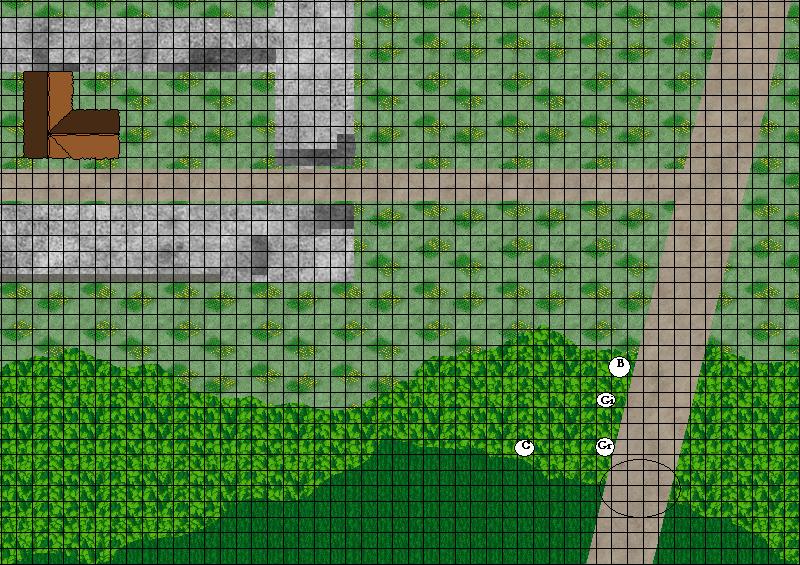 Approach to old Johnson Estate2.JPG