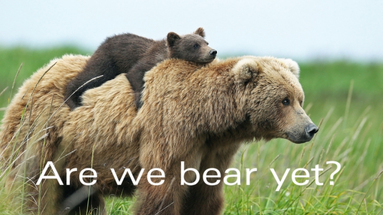 Are We Bear Yet.jpg