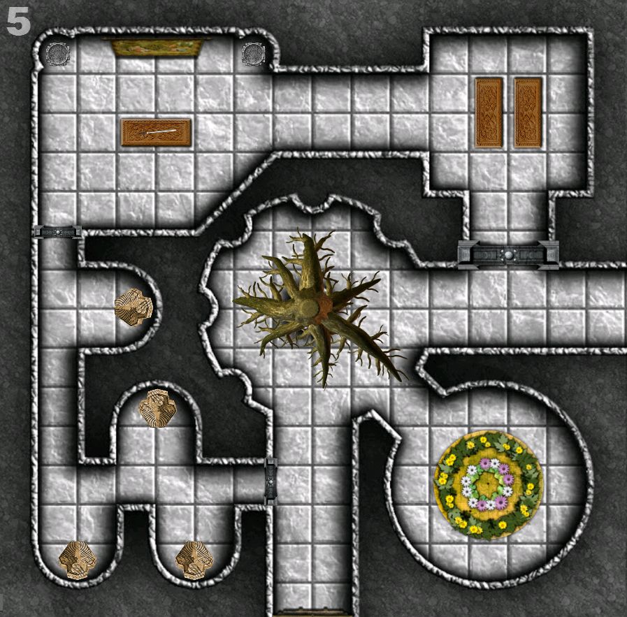 area5.jpg