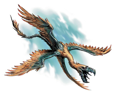 arrowhawk, elder.jpg