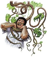 assassin vine 001.jpg