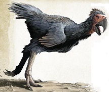 axeBeak.jpg