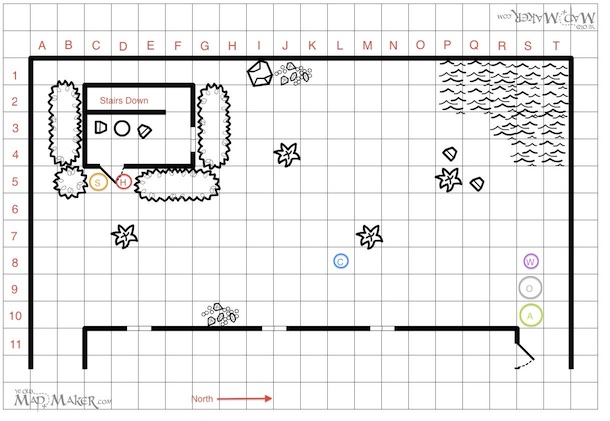 Backyard4.jpg
