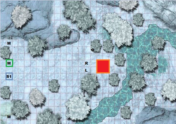 BARRIER FOREST.JPG