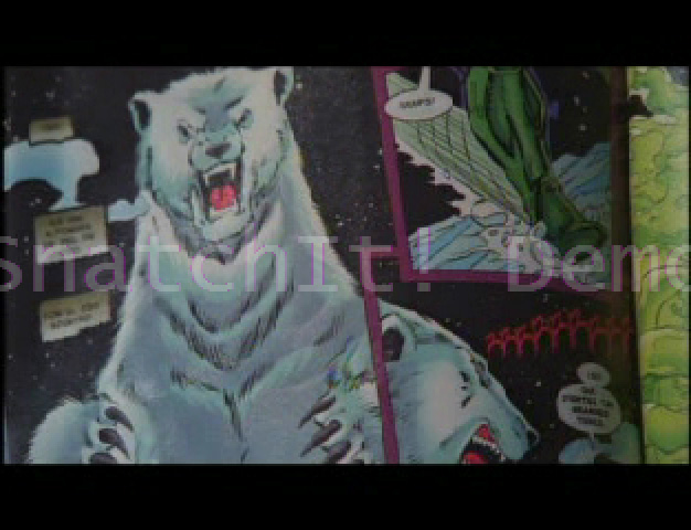 bear.jpg