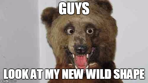 bear1.jpg