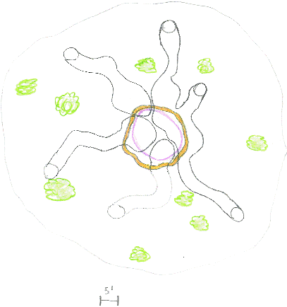 beehive.GIF