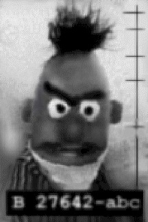 bertmug.jpg