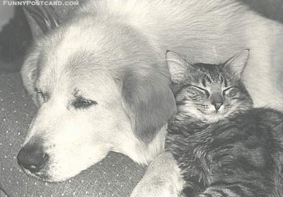 bestfriends.jpg
