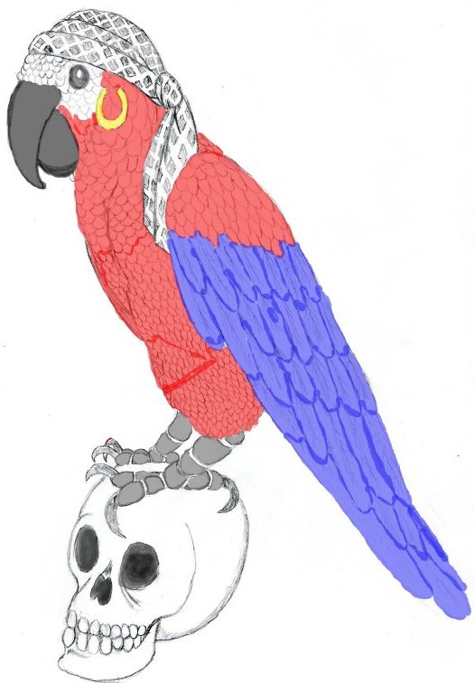 Bird of Reknown, Pirate Parrot.jpg
