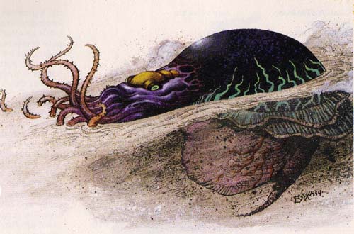 Black-Silt-Horror.jpg