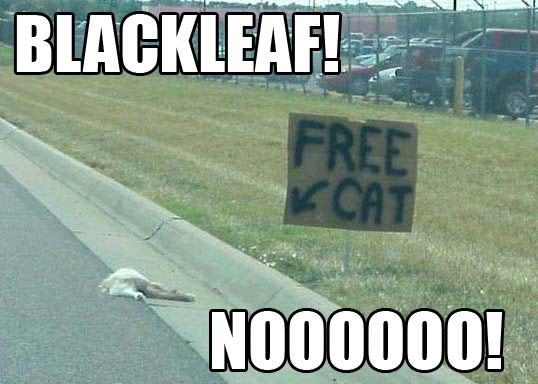 blackleaf.jpg