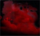 blood.jpg