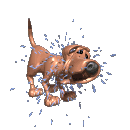 bloodhound_shaking_off_water_md_clr.gif