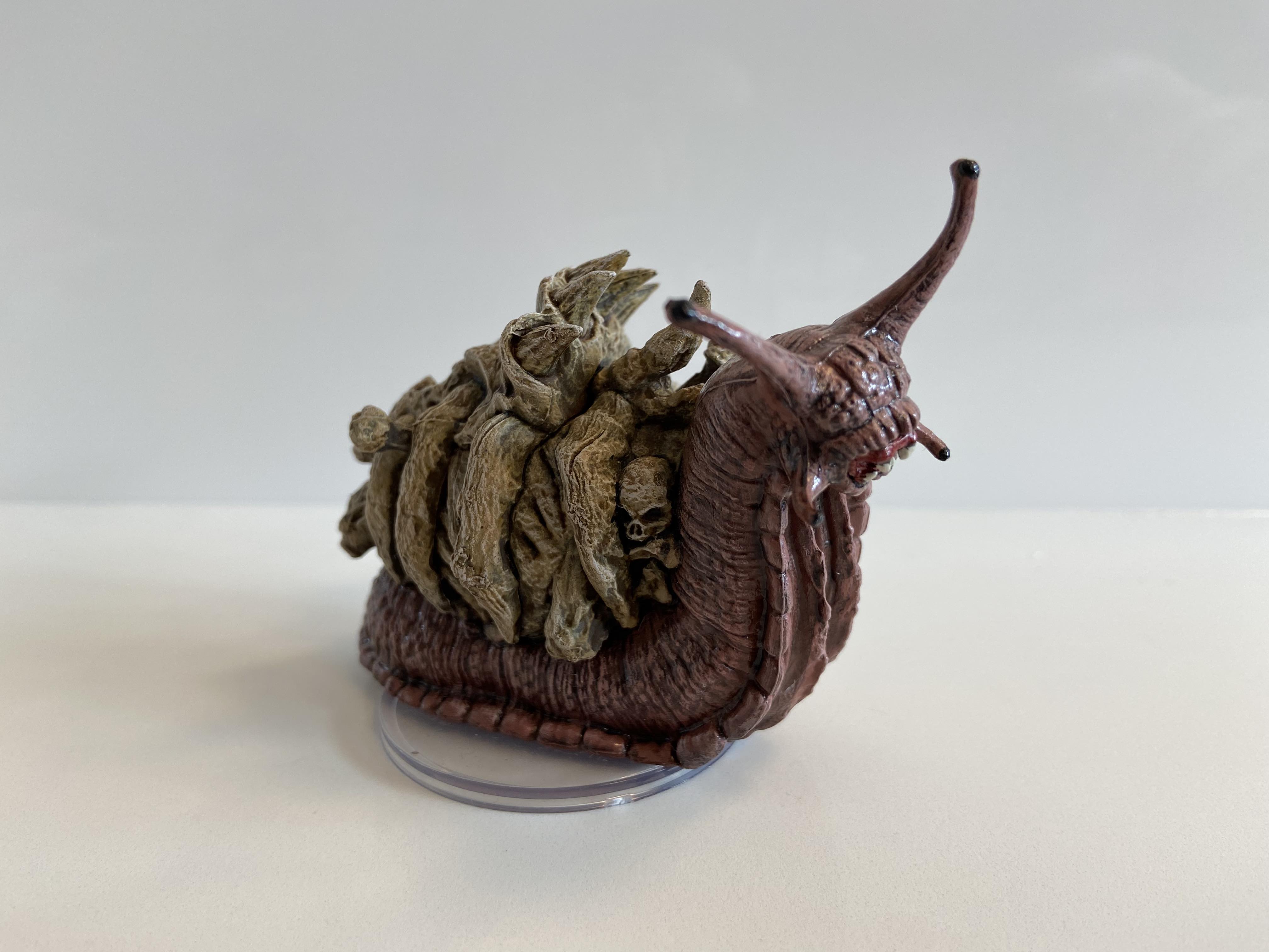 Bone Whelk.jpg