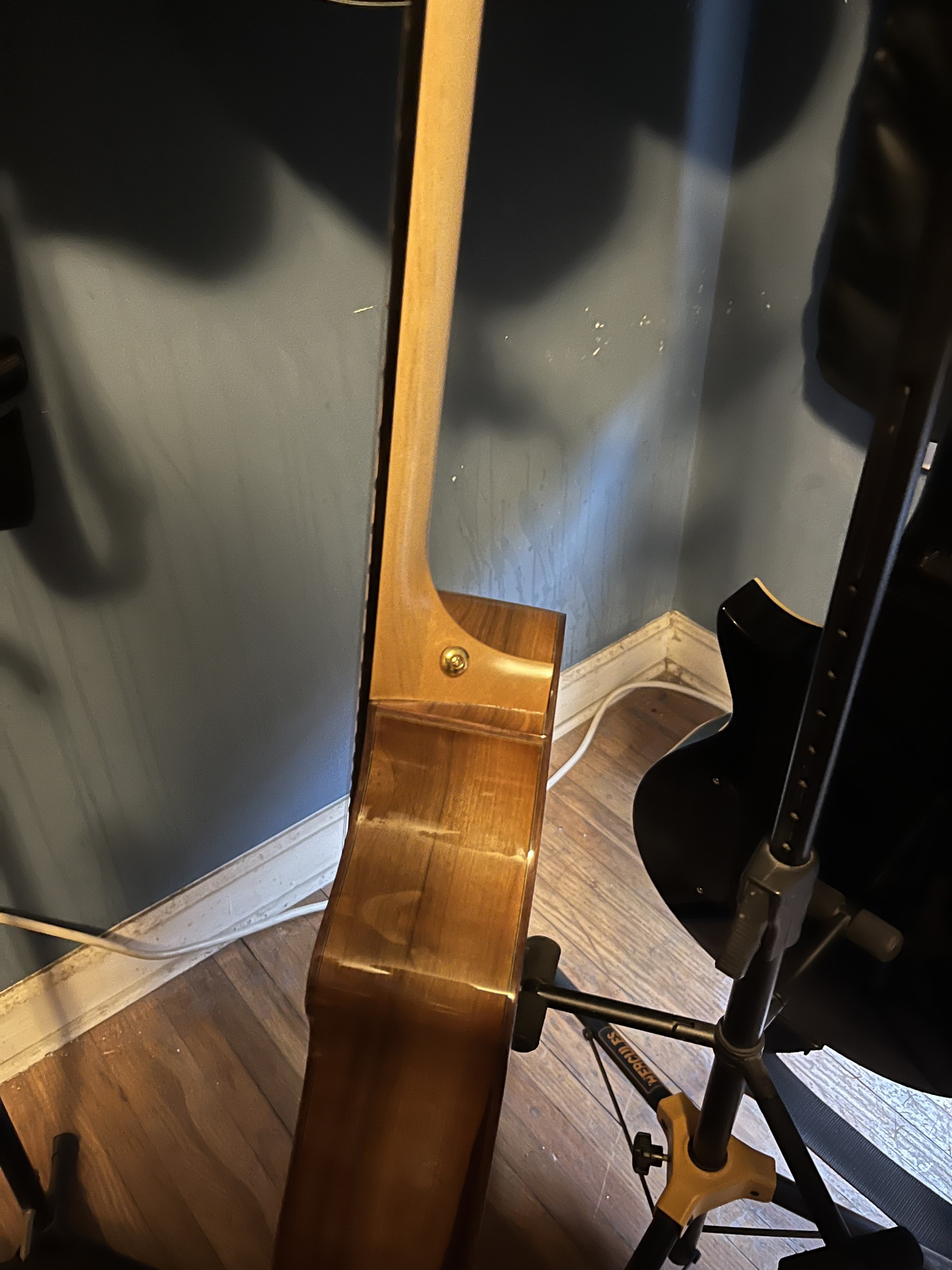 Breedlove Strap Button.jpg