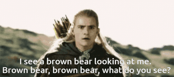 brown bear.gif