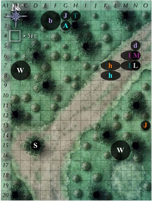 C1-r0.jpg