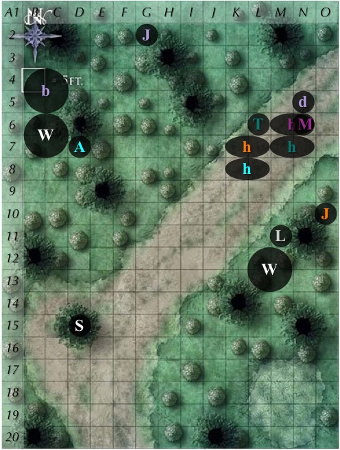 C1-r2.jpg