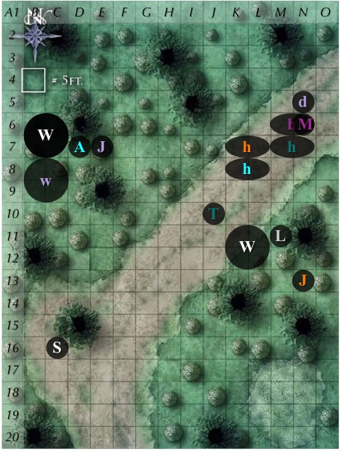 C1-r3.jpg