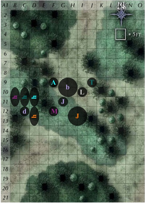 C2-r0.jpg