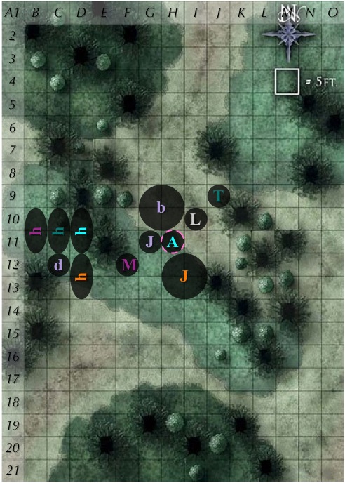 C2-r1.jpg