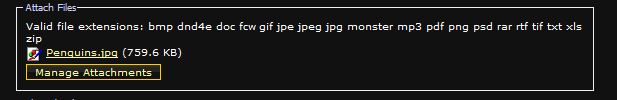 Capture 1.JPG