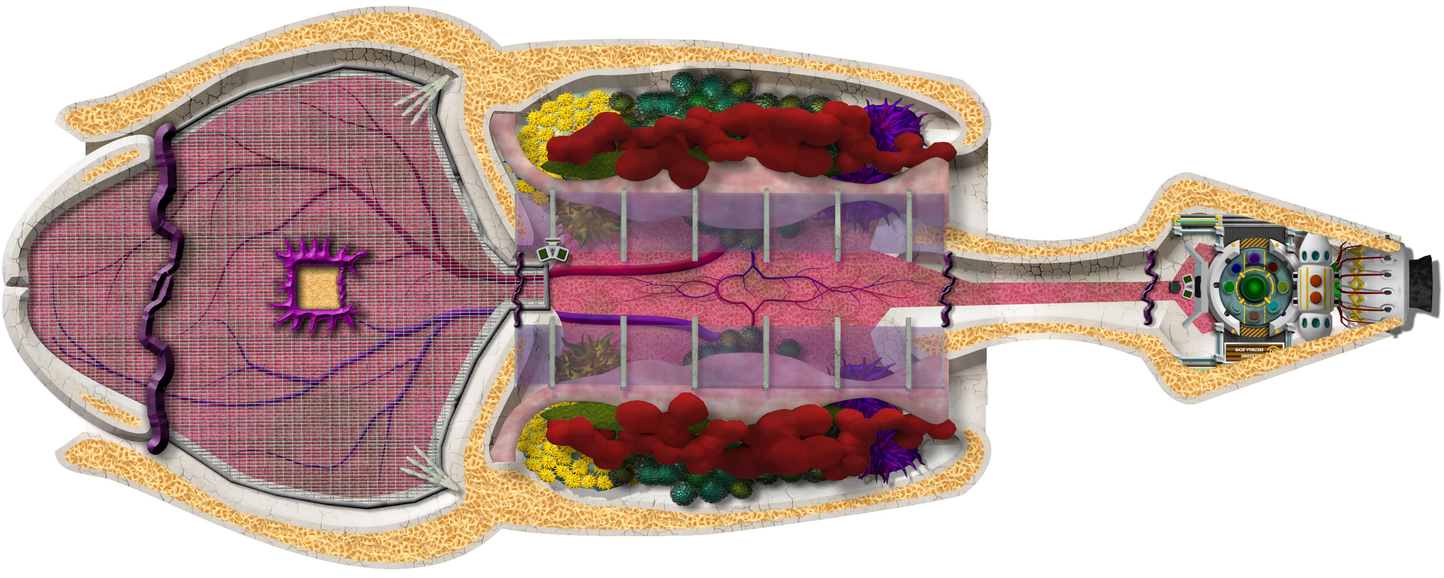 cargo-organs-engineering-deck.jpg