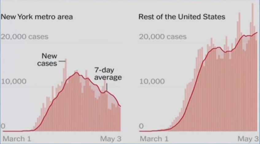 cases.jpg