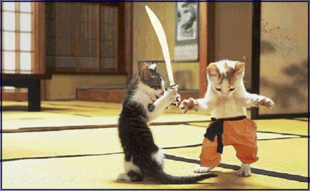 cats.jpg