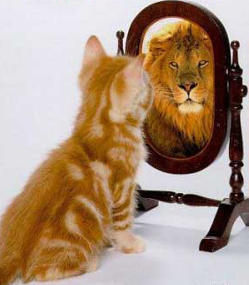 catself.jpg