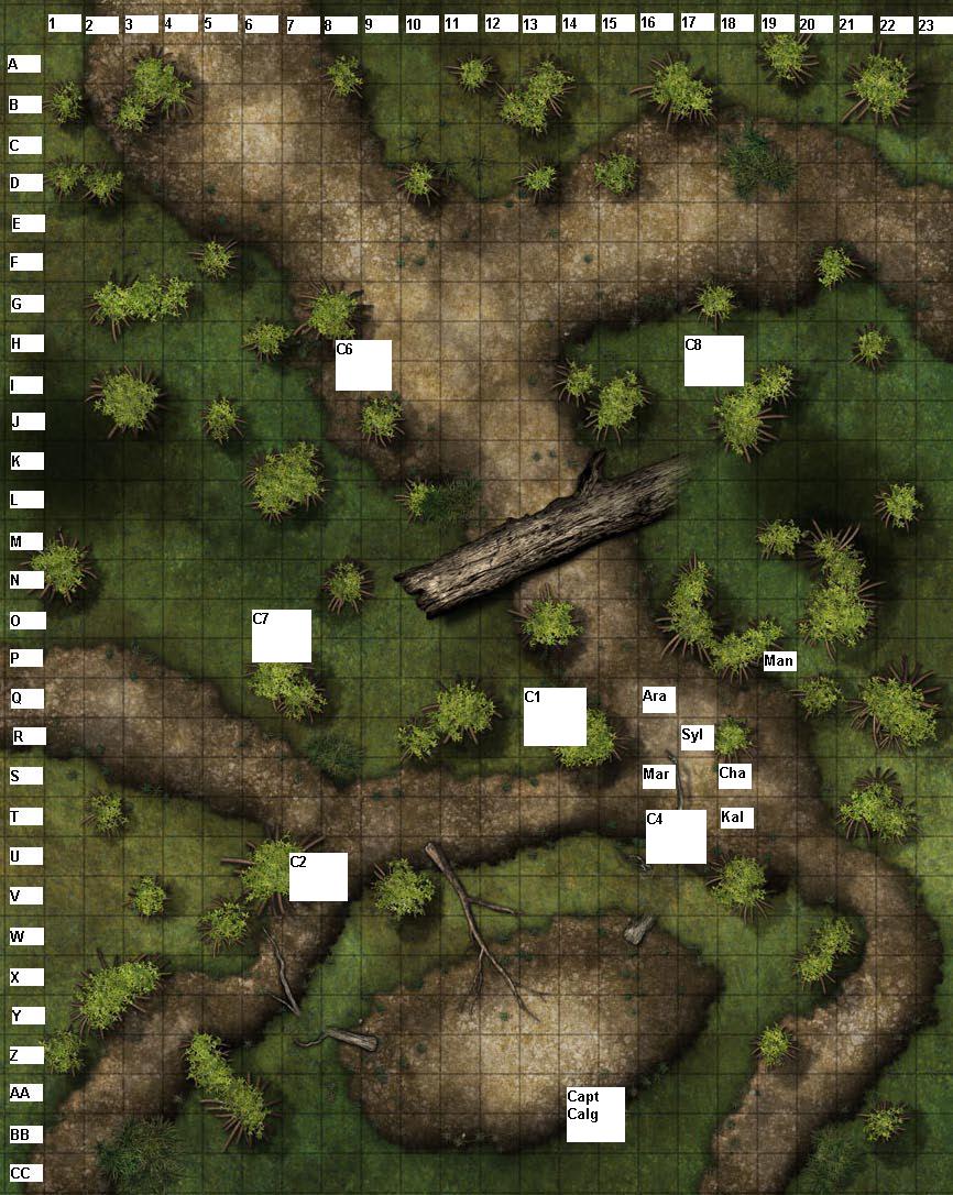 cavalry attack Round 2.JPG