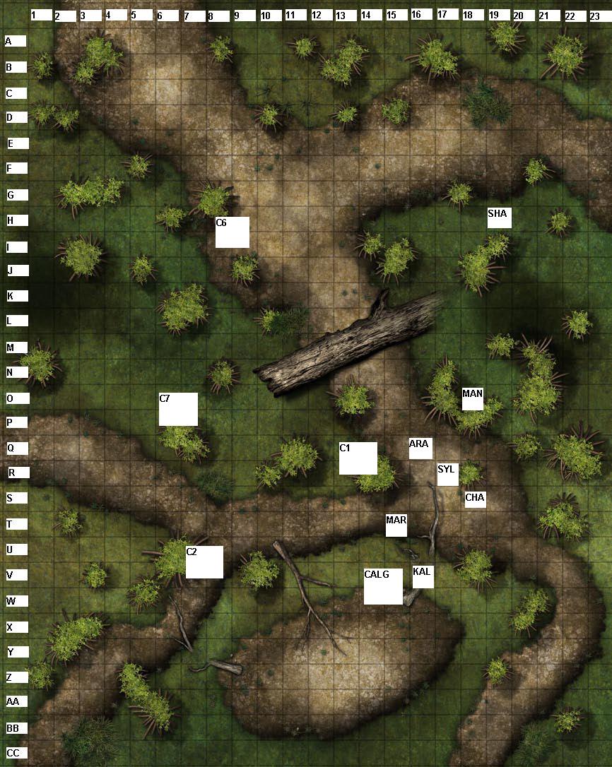 cavalry attack ROUND 3.JPG