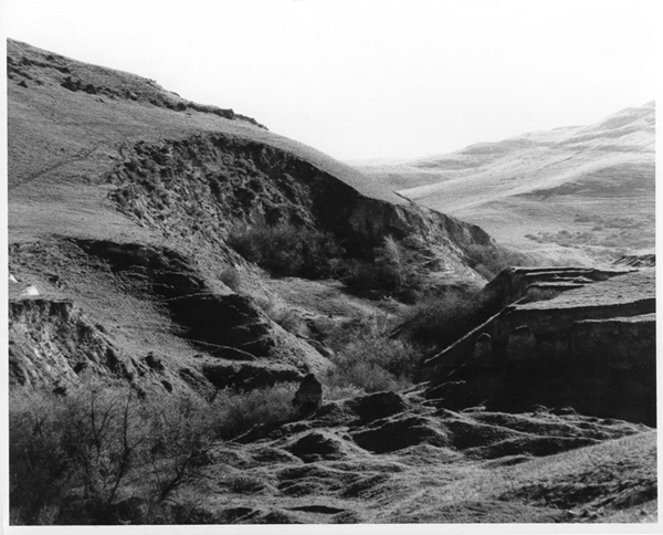 chauzuphoto02.jpg