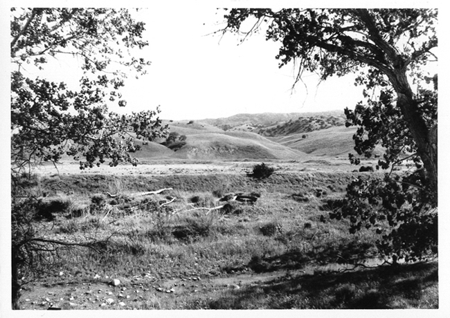 chauzuphoto11.jpg