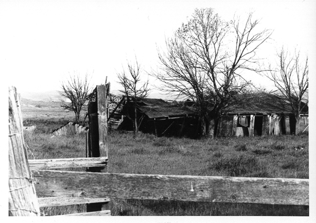 chauzuphoto13.jpg