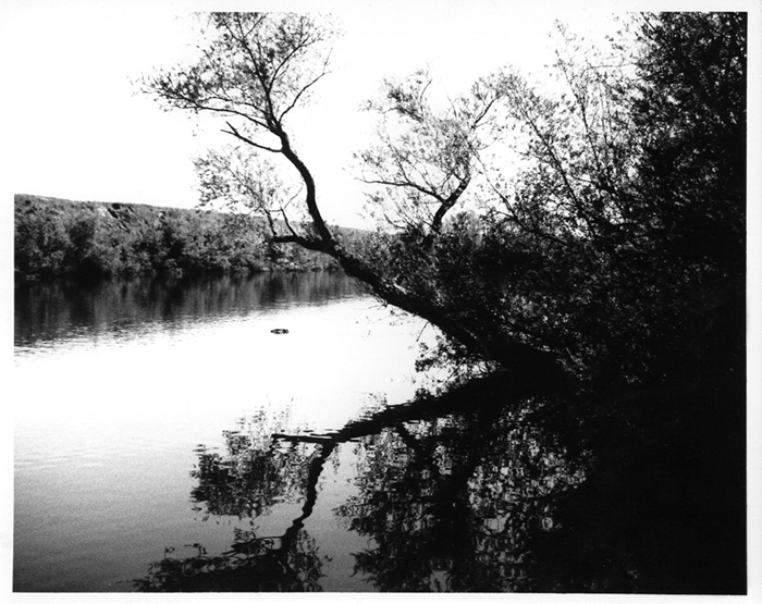 chauzuphoto19.jpg