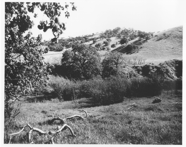 ChauzuPhoto26.jpg