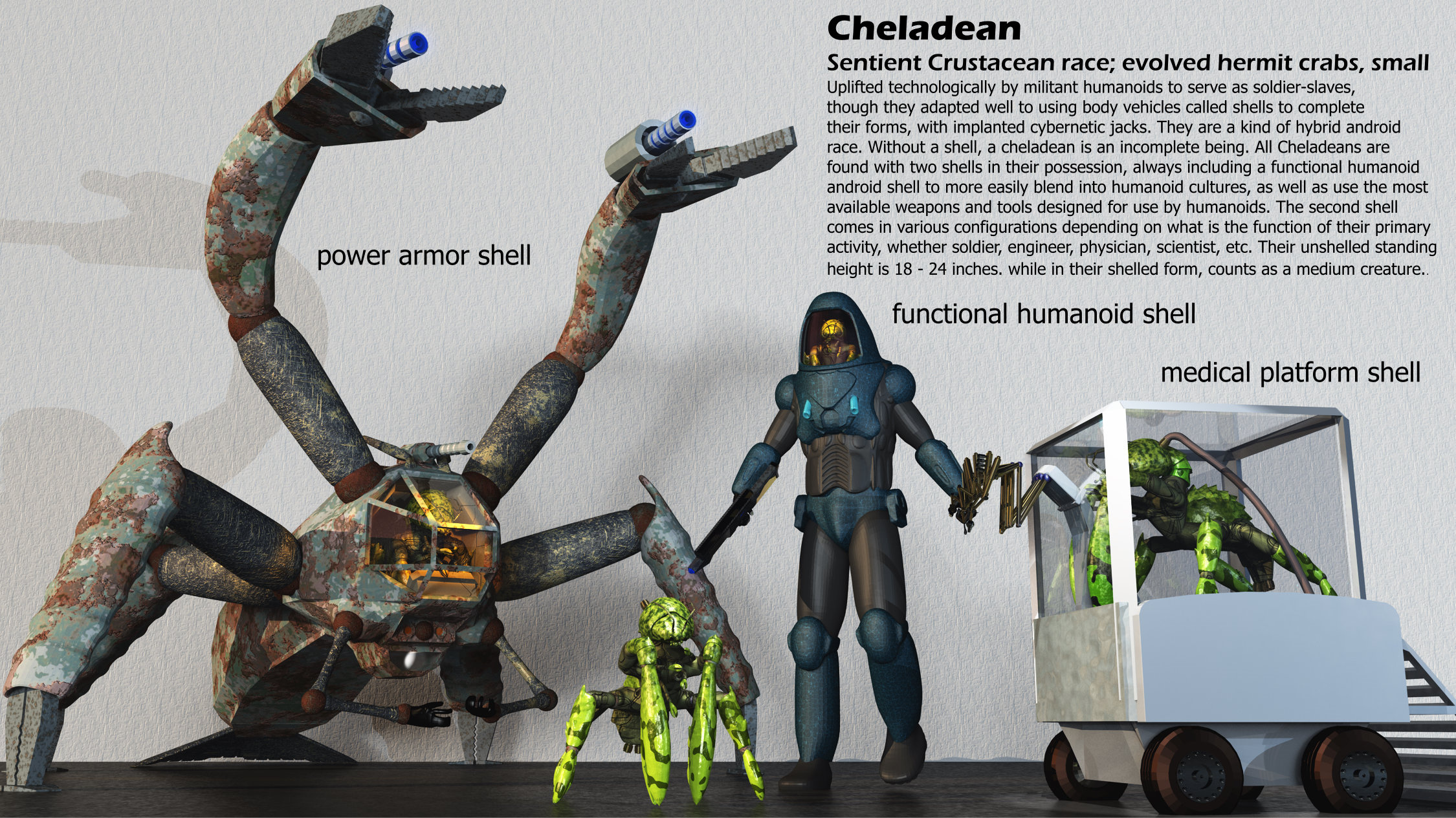 cheladean-shells.jpg