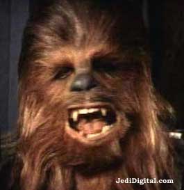 chewbacca1.jpg