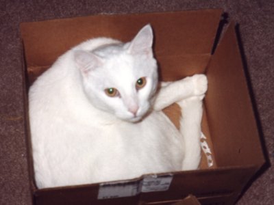 chico_jan.jpg